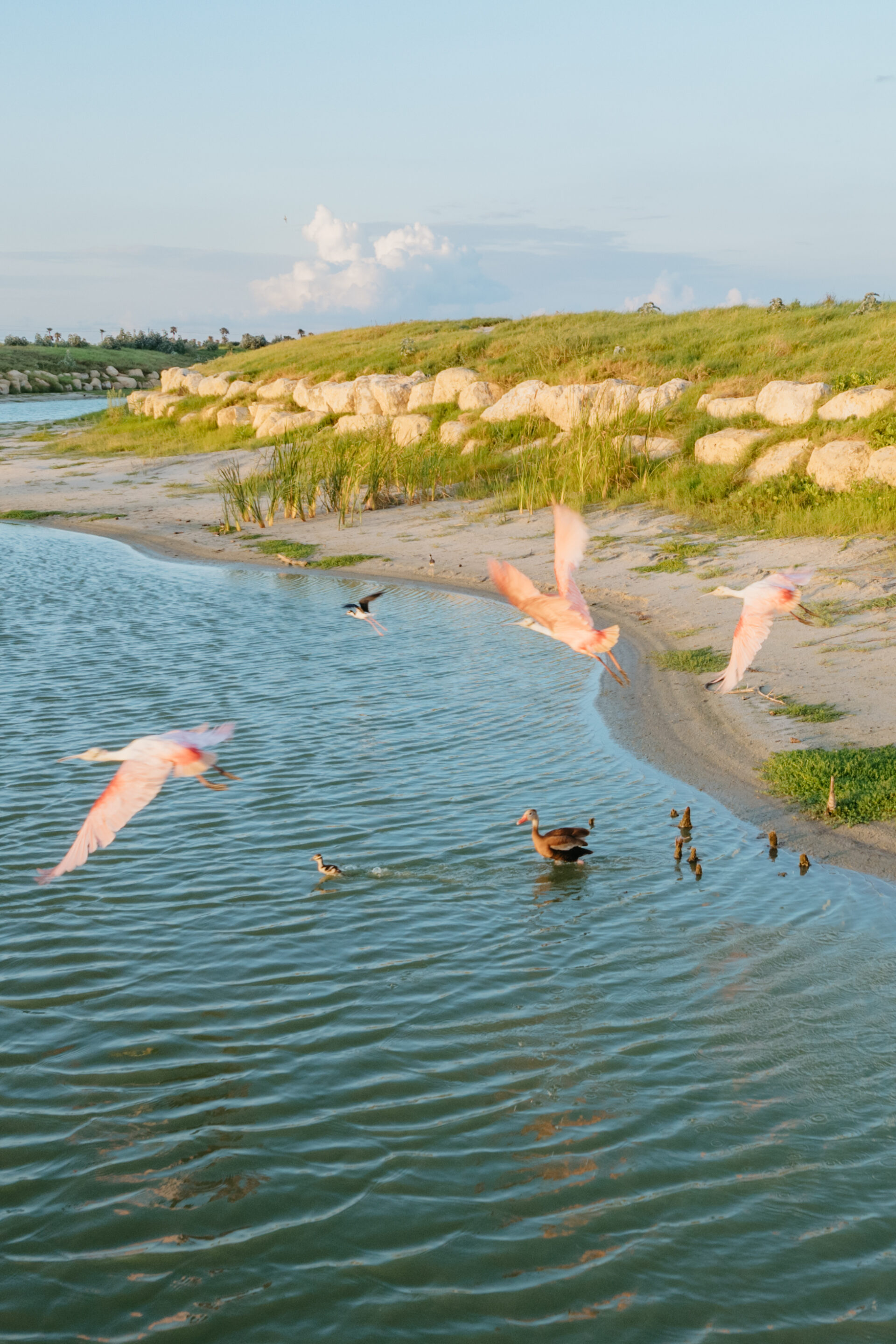 Whitecap North Padre Island